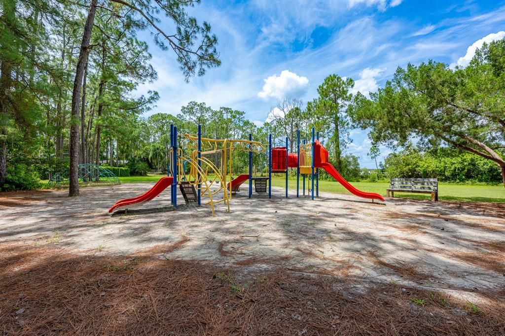 Backyard, Exterior, Playground