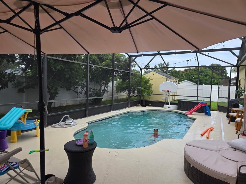 Glass Ceilings, Interior, Pool, Sun Room