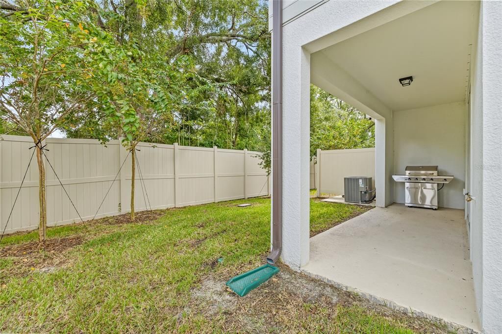 Backyard, Exterior