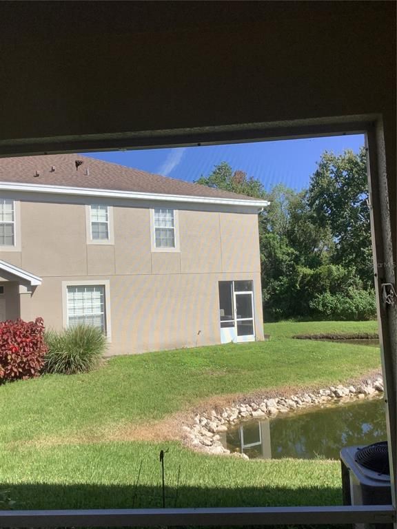 Backyard, Exterior, Water