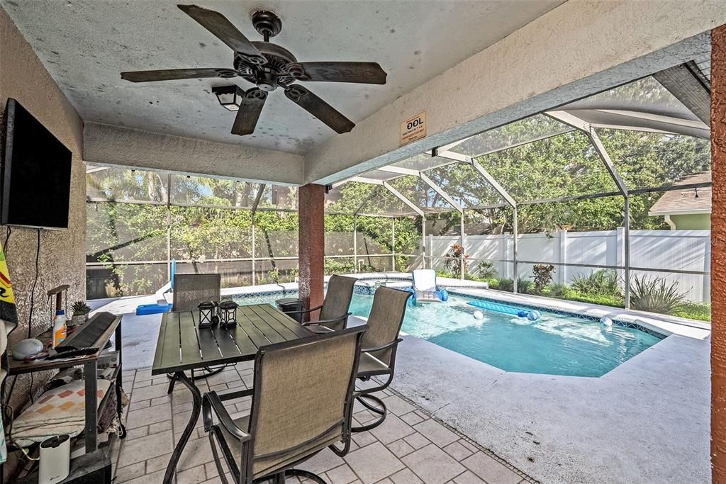 Glass Ceilings, Interior, Pool, Sun Room
