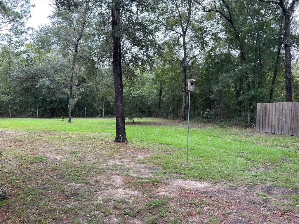 Backyard, Exterior