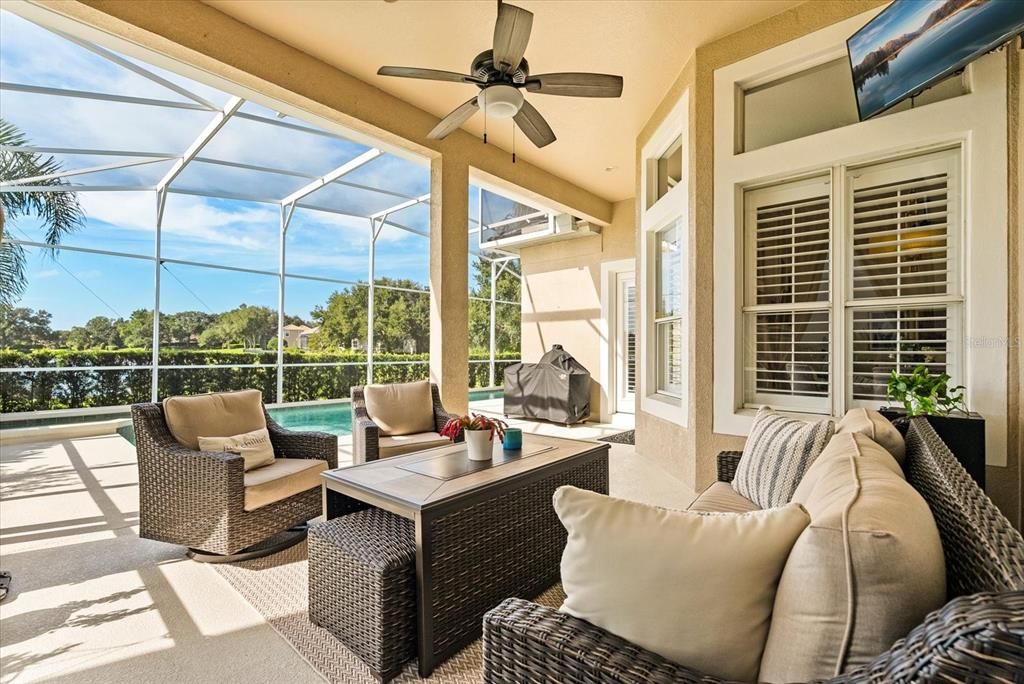 Glass Ceilings, Interior, Living room, Pool, Sun Room