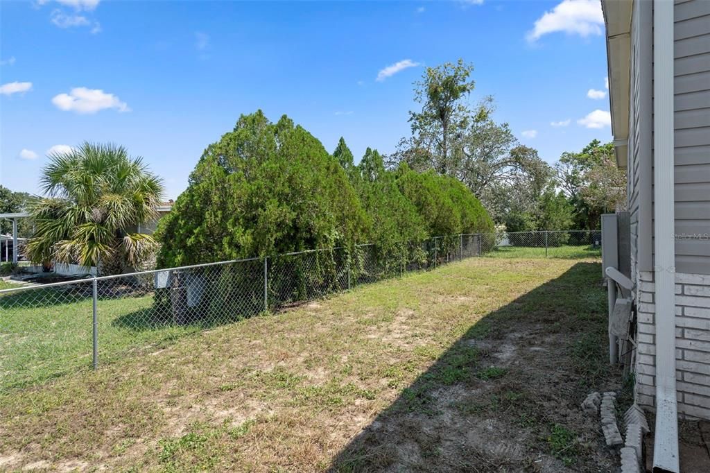Backyard, Exterior
