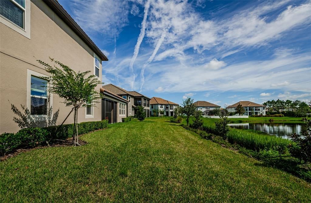 Backyard, Exterior, Water