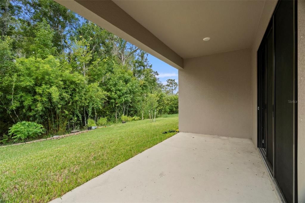 Backyard, Exterior
