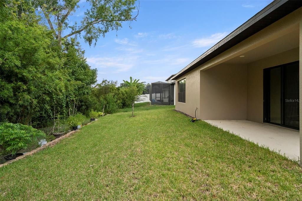 Backyard, Exterior