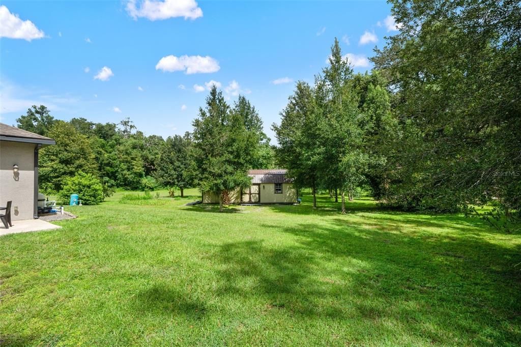 Backyard, Exterior