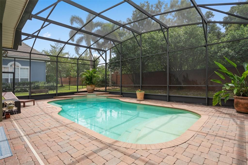 Glass Ceilings, Interior, Pool, Sun Room
