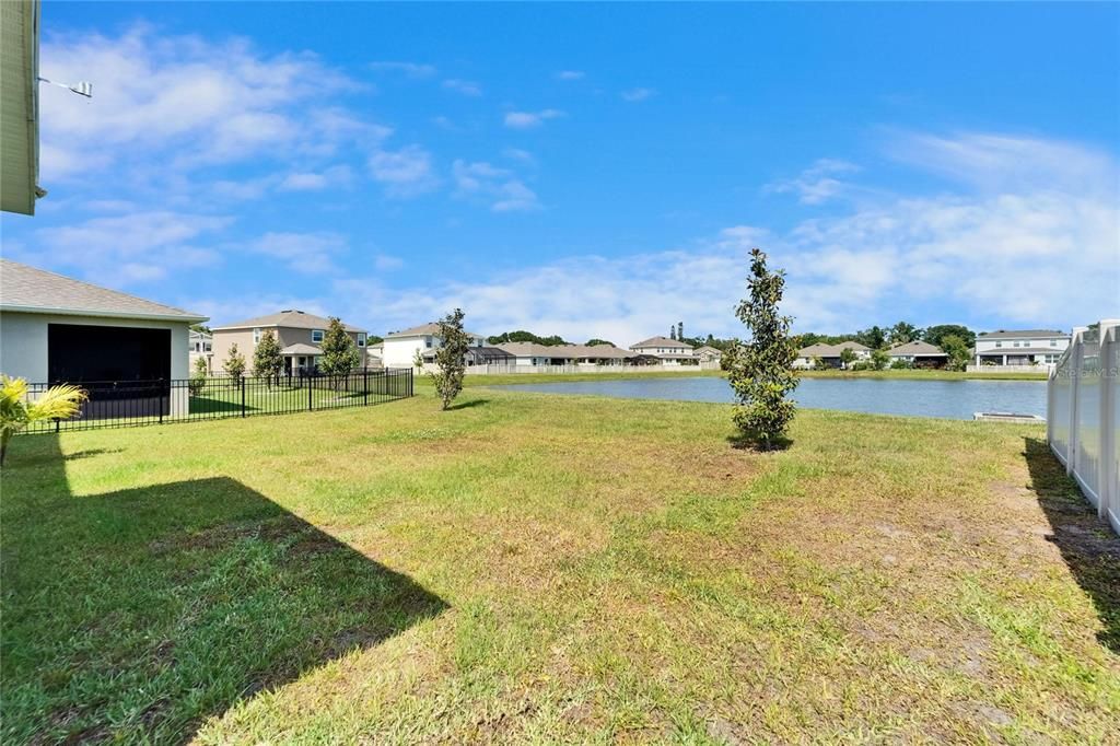 Backyard, Exterior, Water