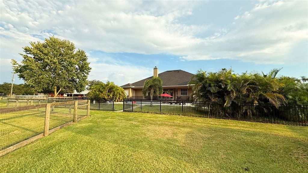 Backyard, Exterior