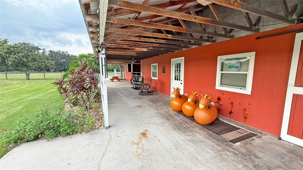 Backyard, Exterior