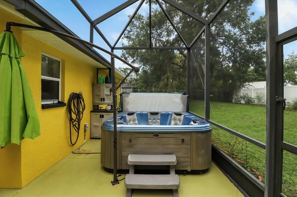 Glass Ceilings, Hot Tub, Interior, Sun Room
