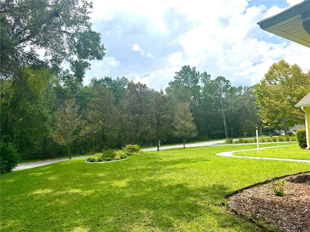 Backyard, Exterior