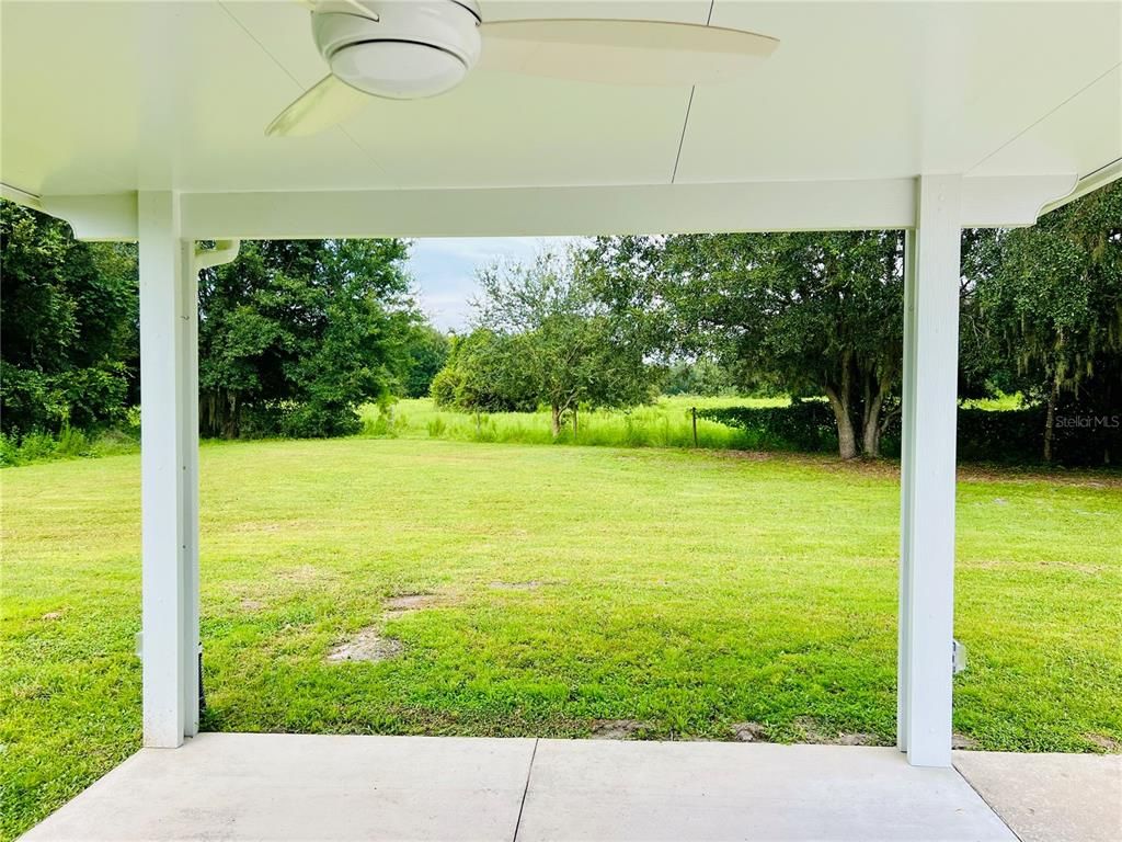 Backyard, Exterior