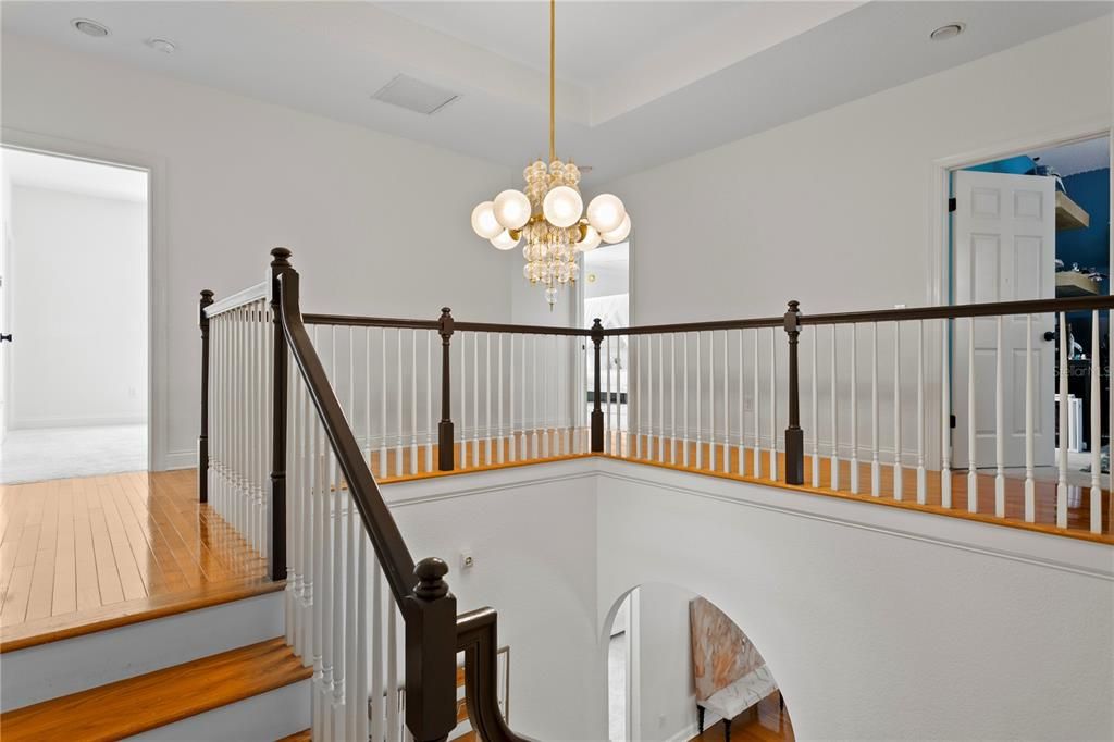 Chandelier, Interior, Wood Texture Flooring