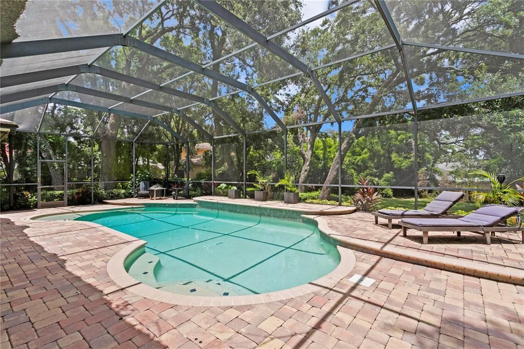 Glass Ceilings, Interior, Pool, Sun Room