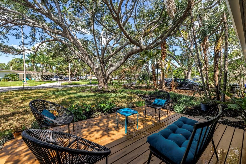 Backyard, Exterior