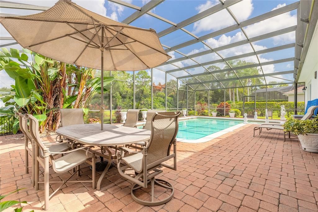 Glass Ceilings, Interior, Pool, Sun Room