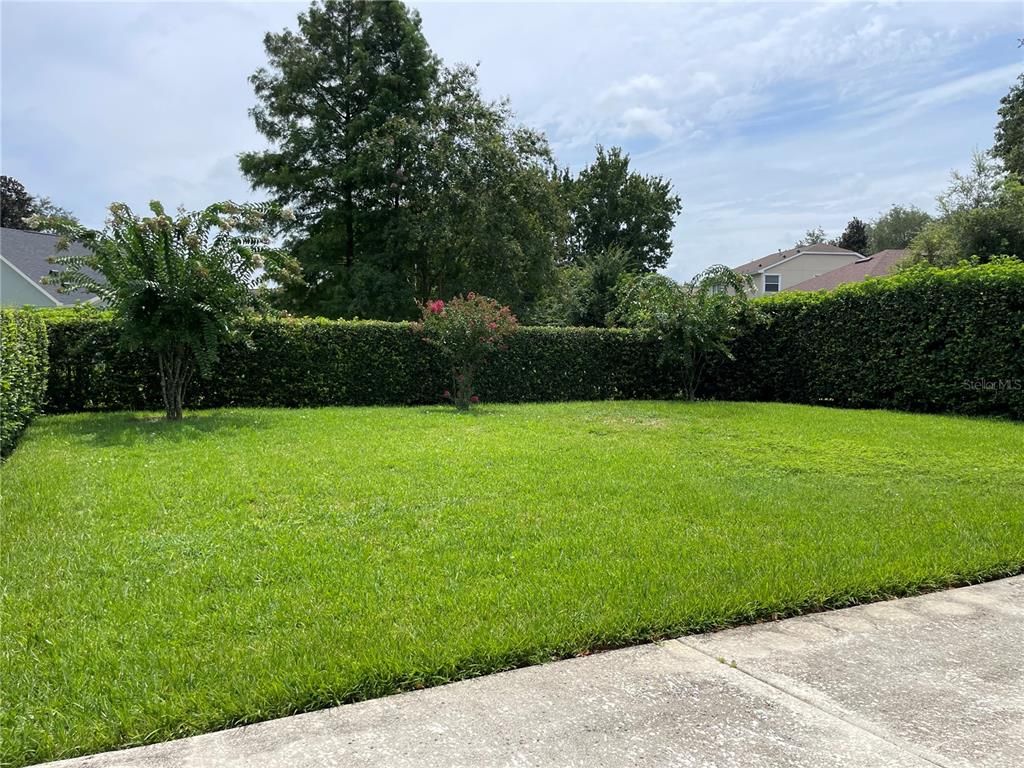 Backyard, Exterior