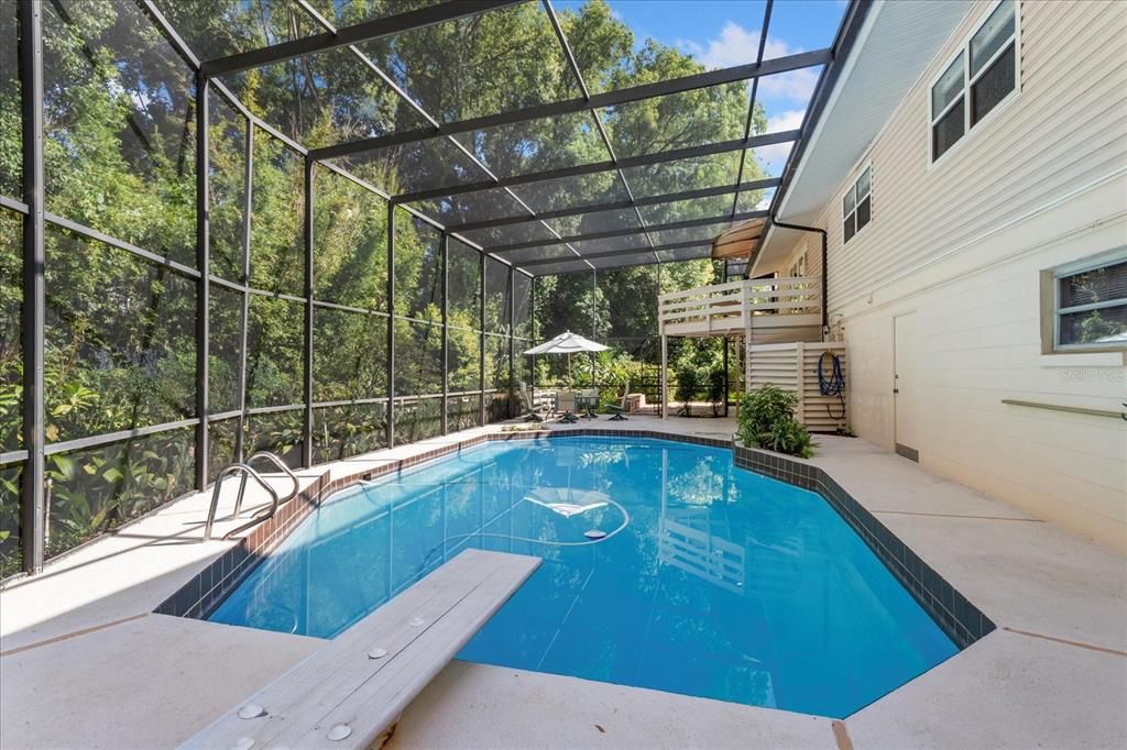 Glass Ceilings, Interior, Pool, Sun Room
