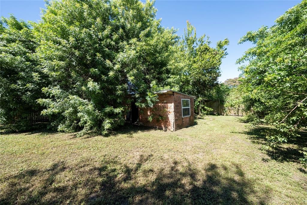 Backyard, Exterior
