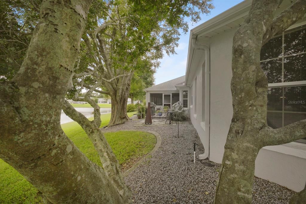 Backyard, Exterior