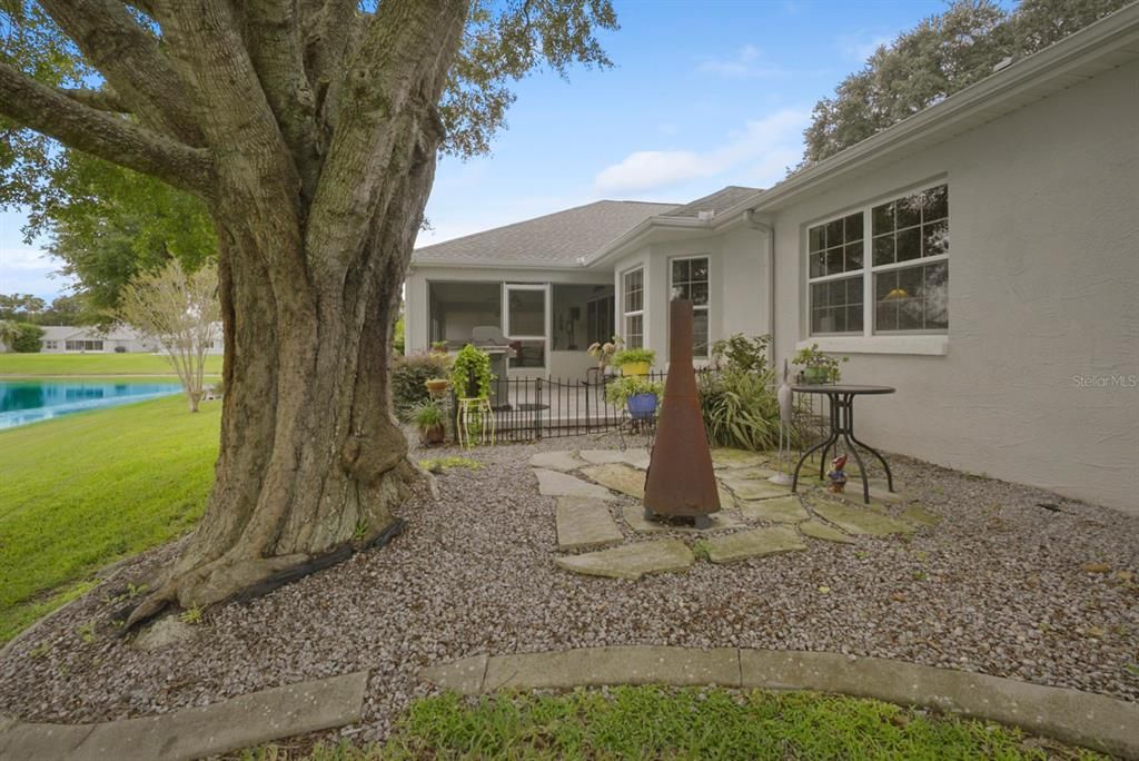 Backyard, Exterior