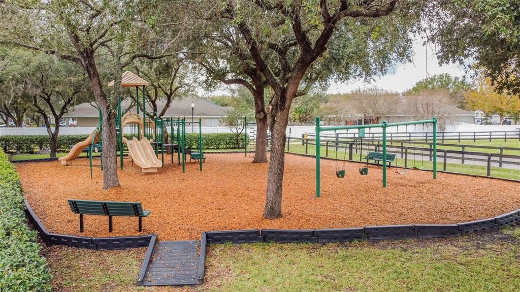Backyard, Exterior, Playground
