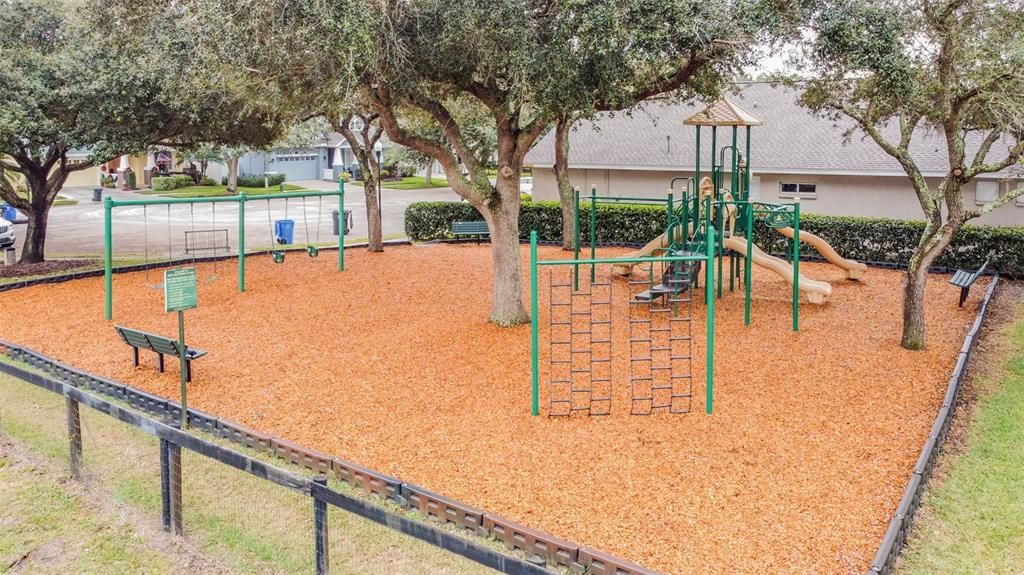 Backyard, Exterior, Playground
