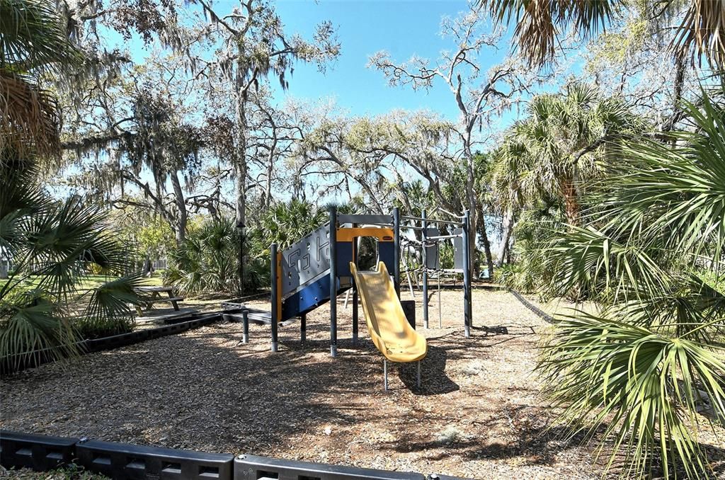 Backyard, Exterior, Playground