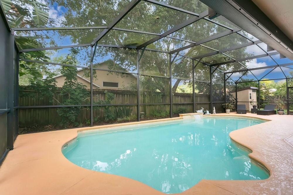 Glass Ceilings, Interior, Pool, Sun Room