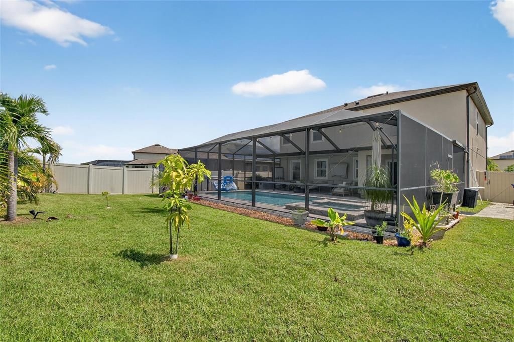 Backyard, Exterior, Pool