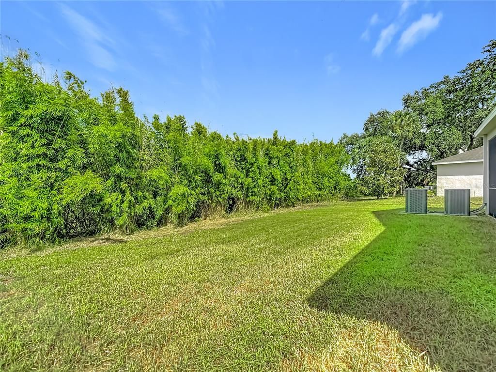 Backyard, Exterior
