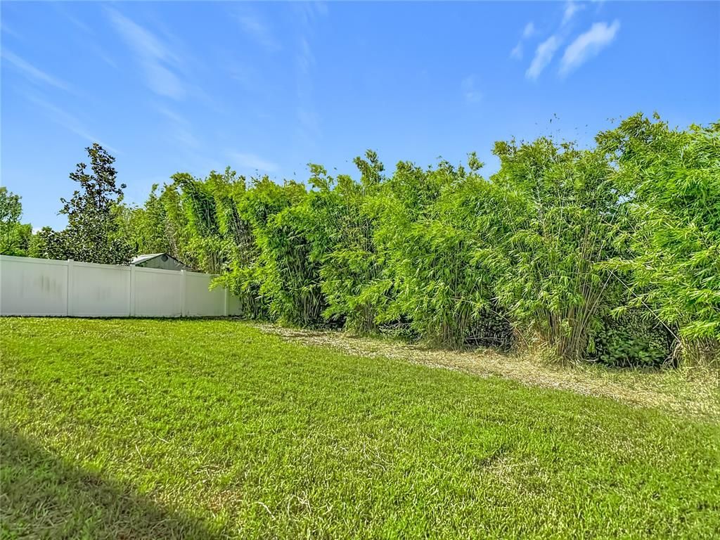Backyard, Exterior