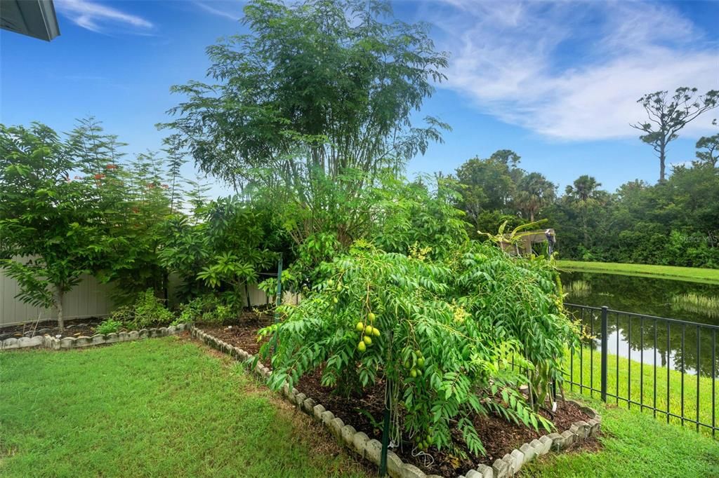 Backyard, Exterior, Water
