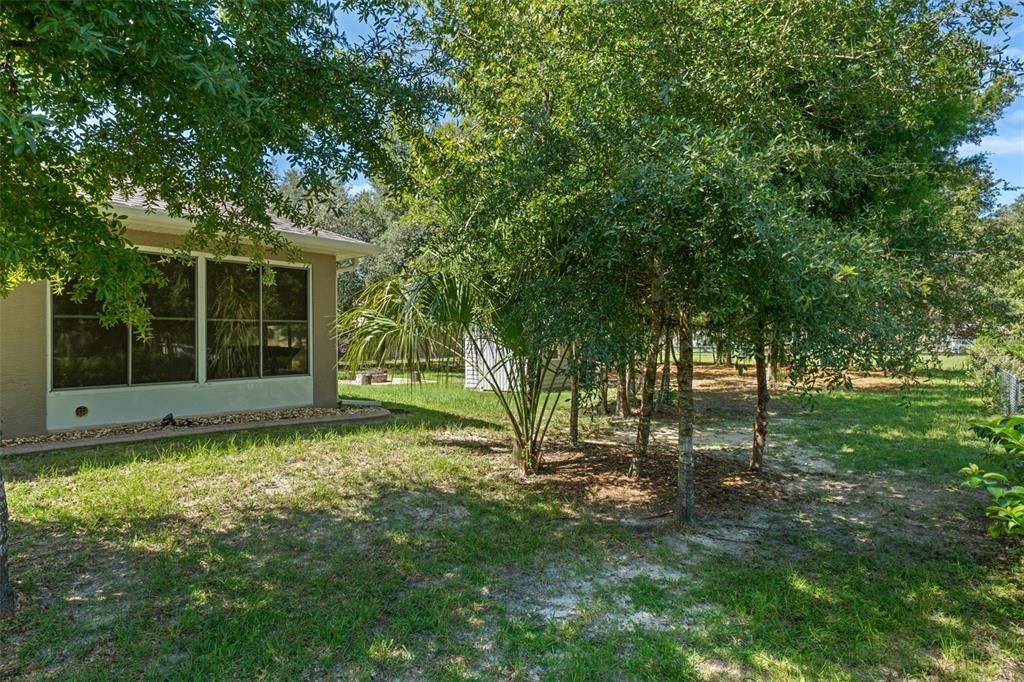 Backyard, Exterior