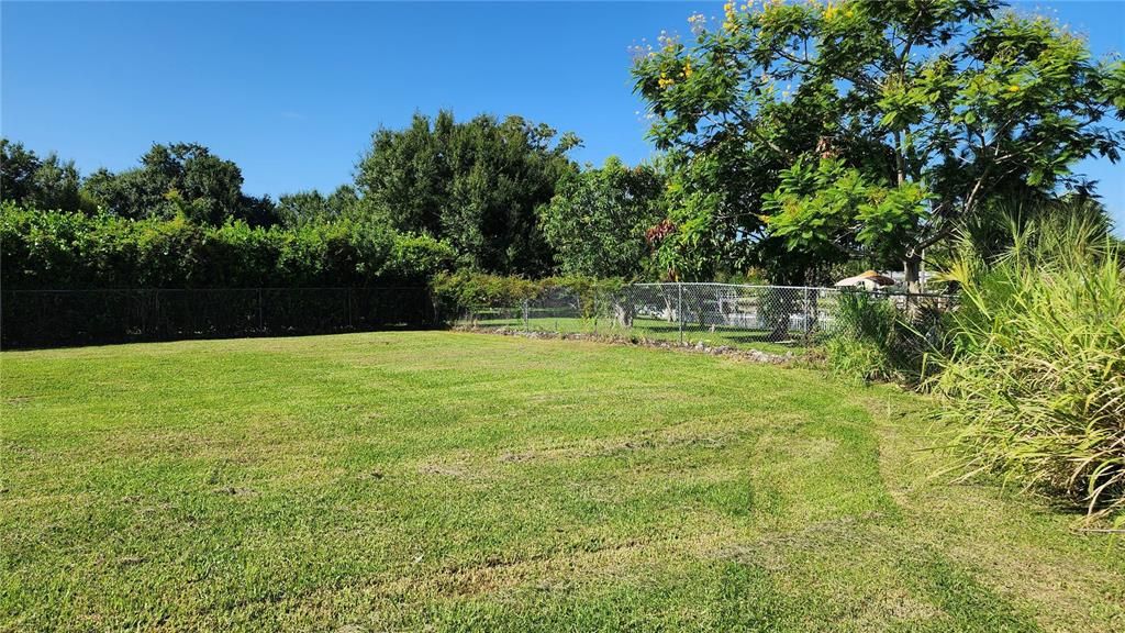 Backyard, Exterior