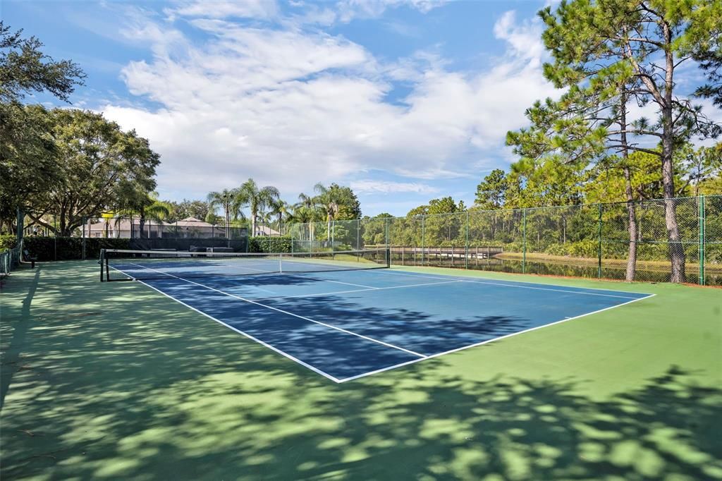 Exterior, Tennis Courts