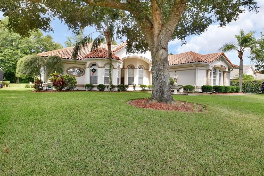 Backyard, Exterior, Facade, Mediterranean