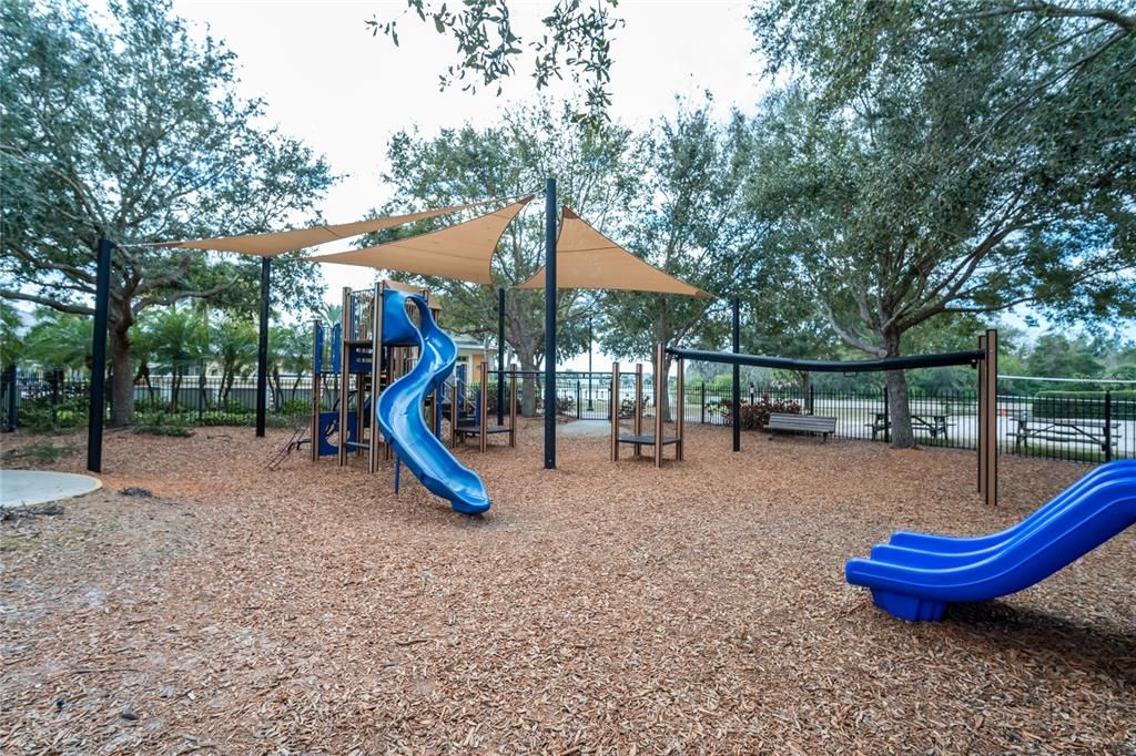 Backyard, Exterior, Playground