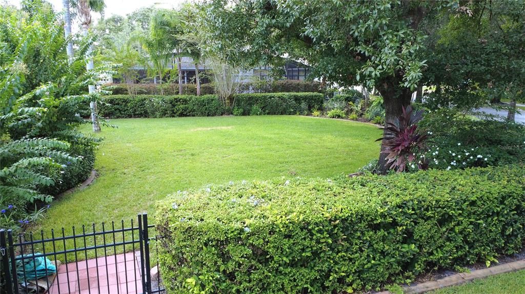 Backyard, Exterior