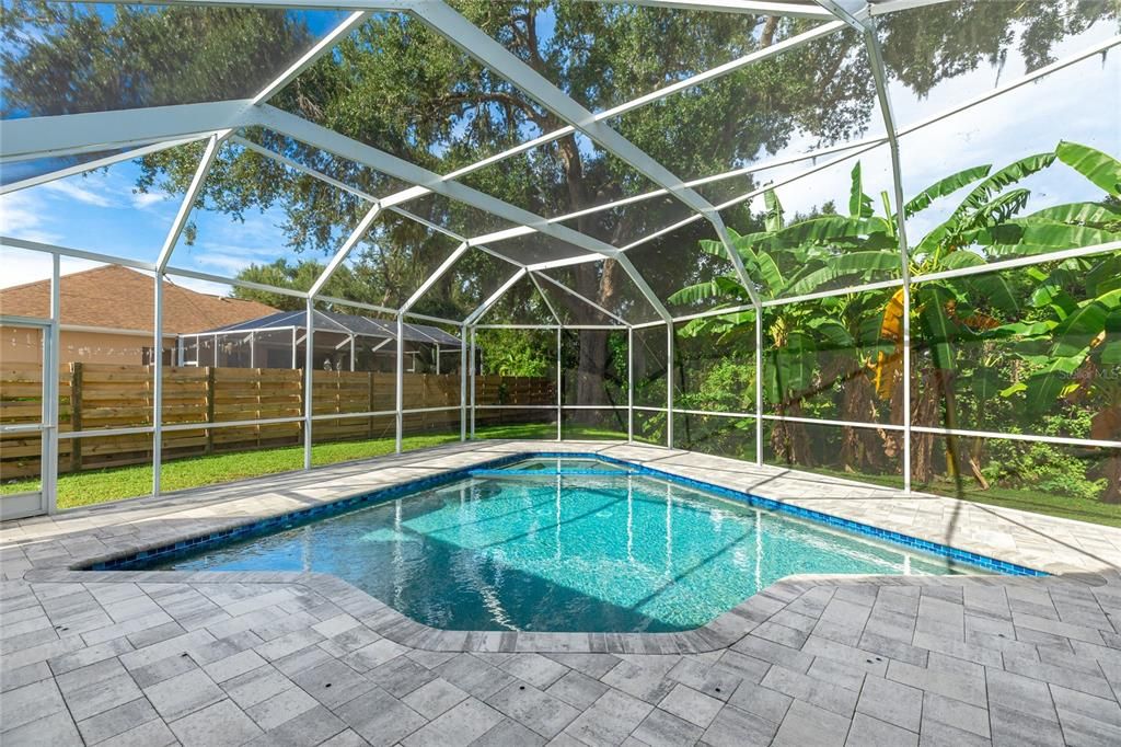 Glass Ceilings, Interior, Pool, Sun Room