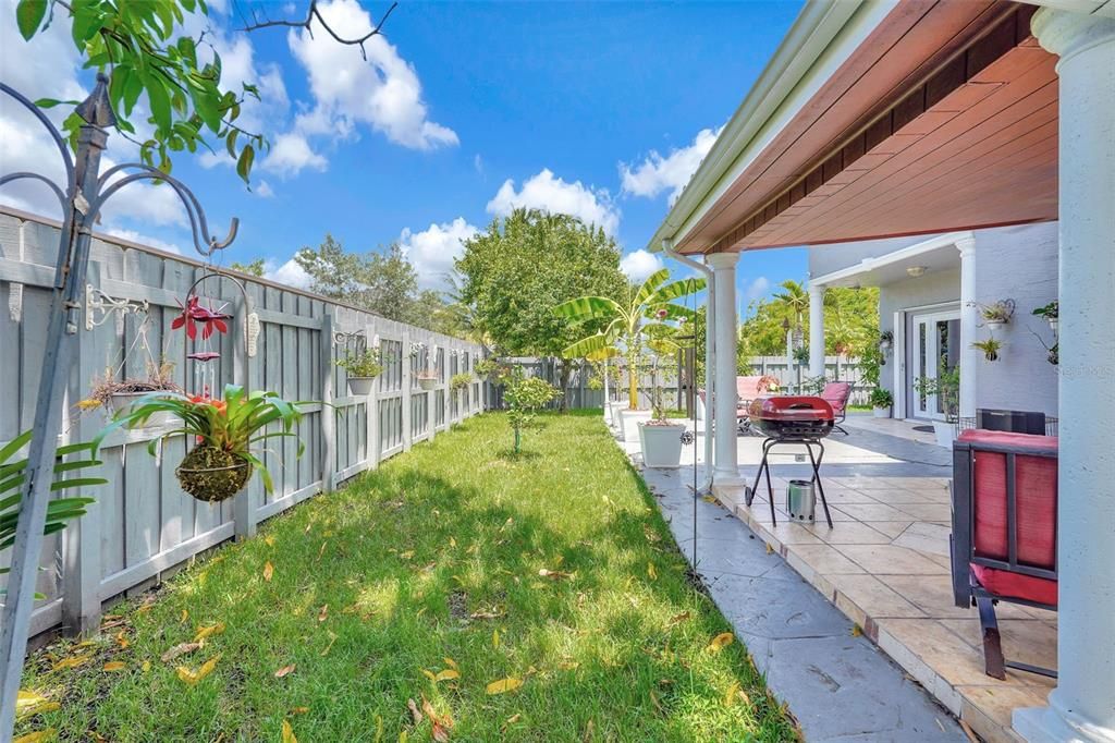 Backyard, Exterior