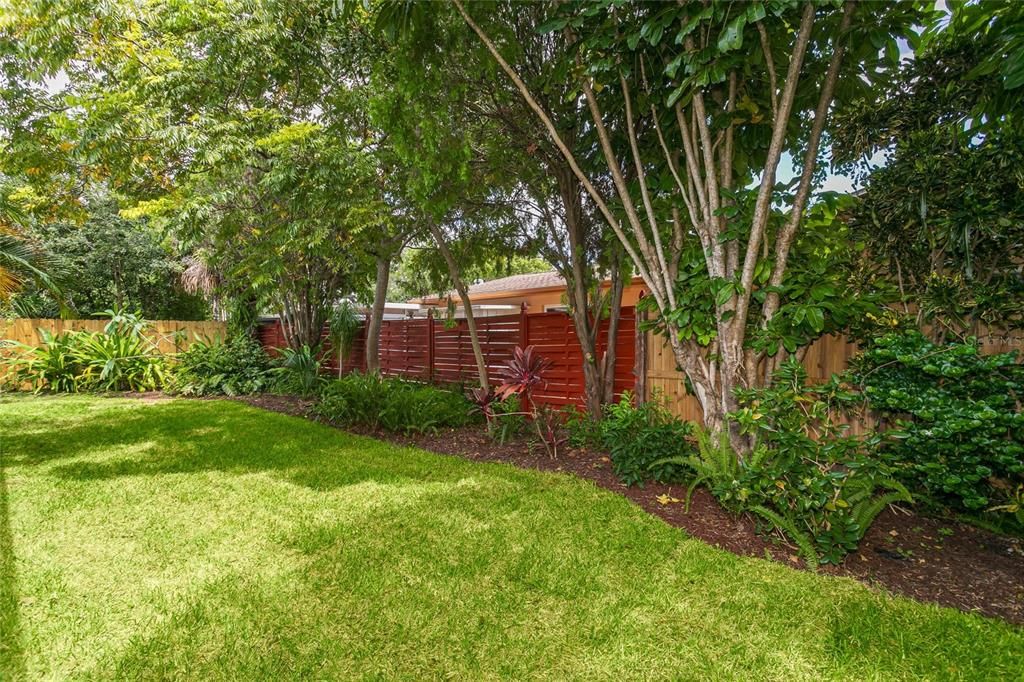 Backyard, Exterior
