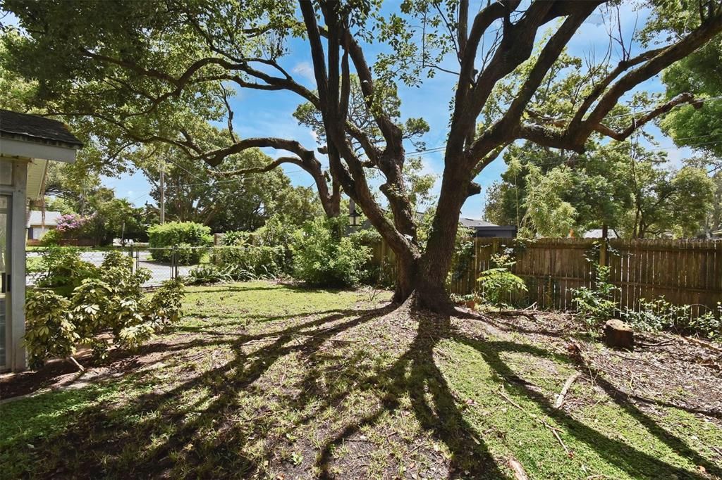 Backyard, Exterior