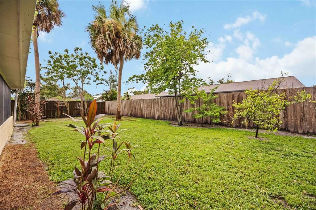 Backyard, Exterior
