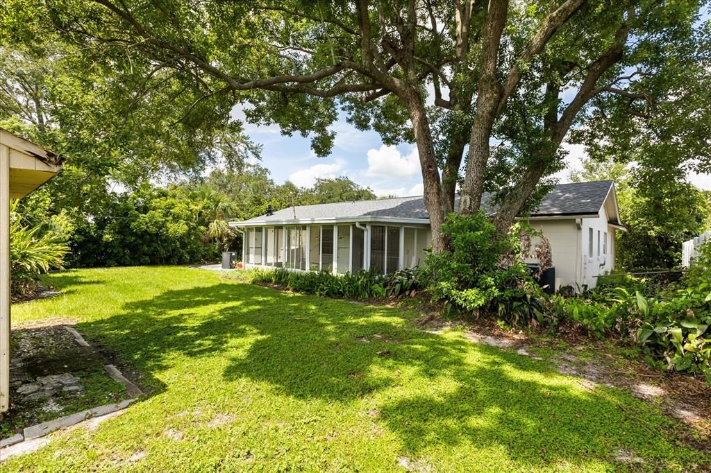 Backyard, Exterior