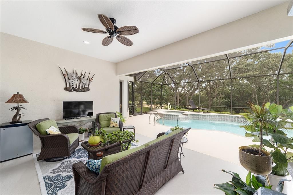 Glass Ceilings, Interior, Pool, Recessed Lighting, Sun Room