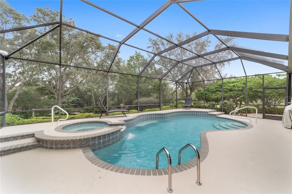 Glass Ceilings, Interior, Pool, Sun Room